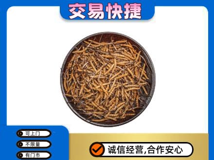 雅安芦山县高价回收散虫草